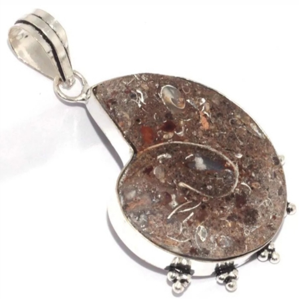 New Ammonite Fossil Silver Pendant.